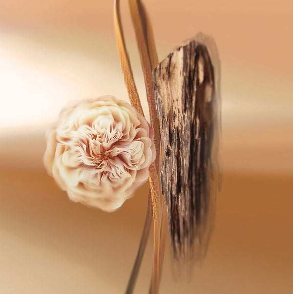 Keiko Mecheri Fragrances LES ZAZOUS