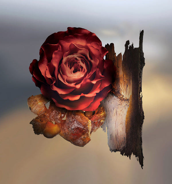 Keiko Mecheri Fragrances LUNEA