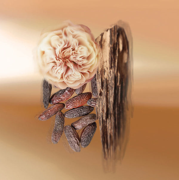 Keiko Mecheri Fragrances MAKASSAR