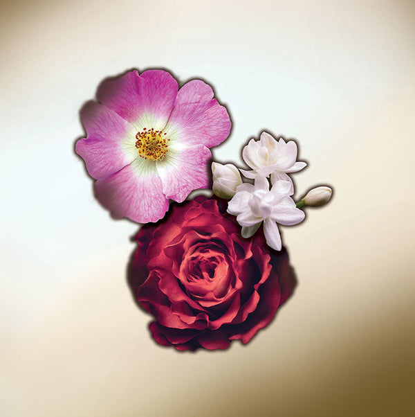 Keiko Mecheri Fragrances MOGADOR