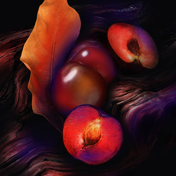 Keiko Mecheri Fragrances MR SLOANE