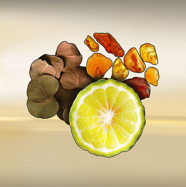 Keiko Mecheri Fragrances MULHOLLAND