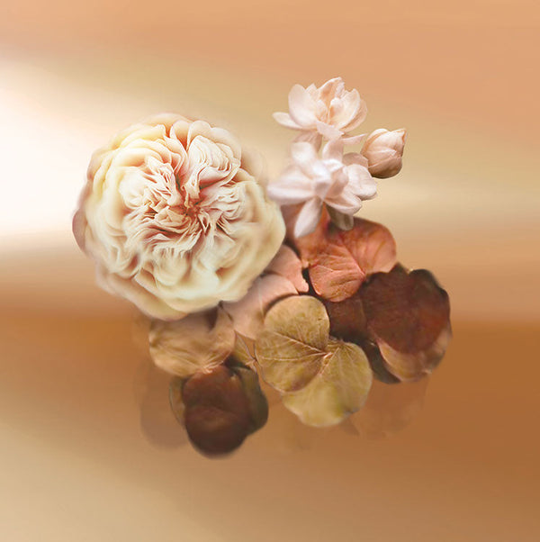 Keiko Mecheri Fragrances PATCHOULISSIME