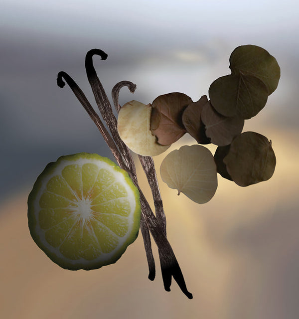 Keiko Mecheri Fragrances PATCHOULISSIME PURE