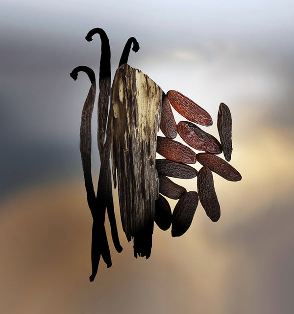 Keiko Mecheri Fragrances PRECIOUIS FOREST