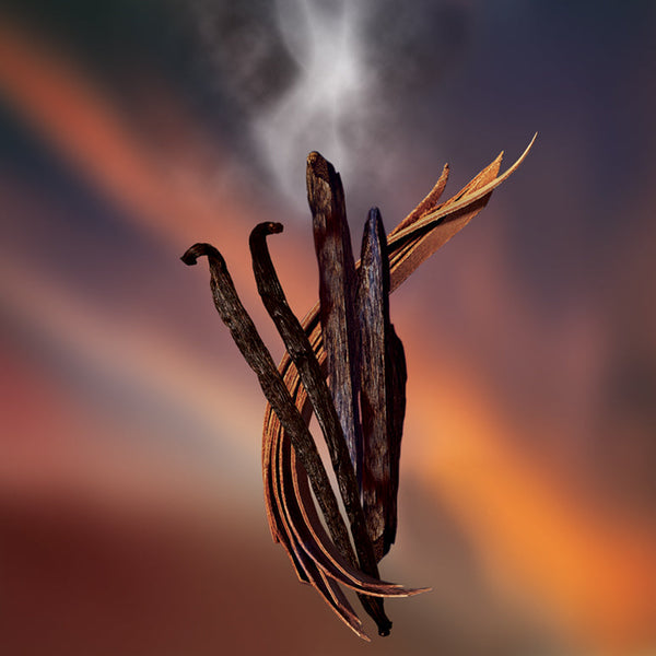 Keiko Mecheri Fragrances ROPPONGI RIDERS