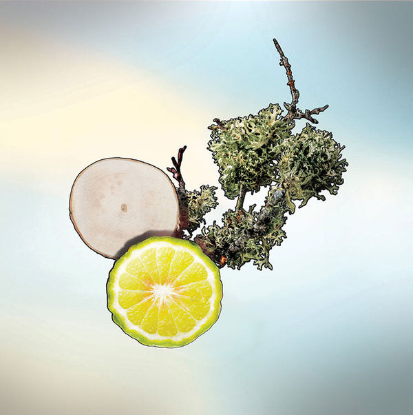 Keiko Mecheri Fragrances SAVILE