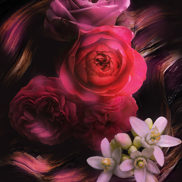 Keiko Mecheri Fragrances SPLENDOROUS