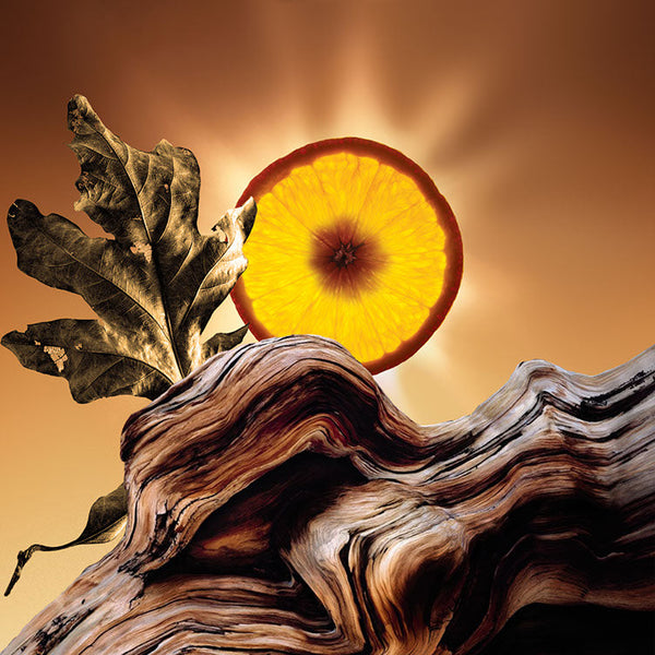 Keiko Mecheri Fragrances SUN LOVIN’