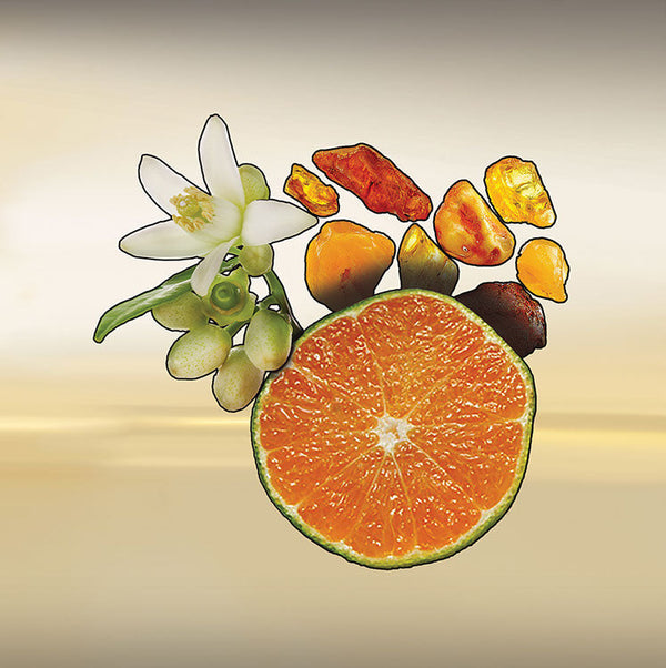 Keiko Mecheri Fragrances TARIFA