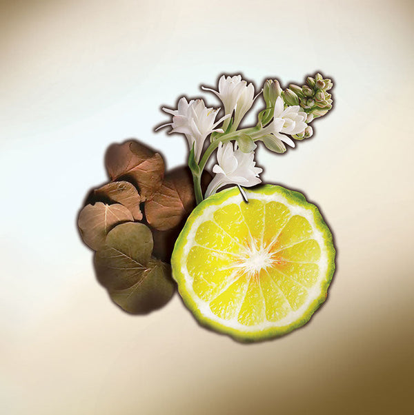 Keiko Mecheri Fragrances THE BEAUTIFUL ONES