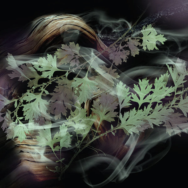 Keiko Mecheri Fragrances TOMBOY