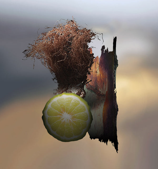 Keiko Mecheri Fragrances VETIVER VELOURS