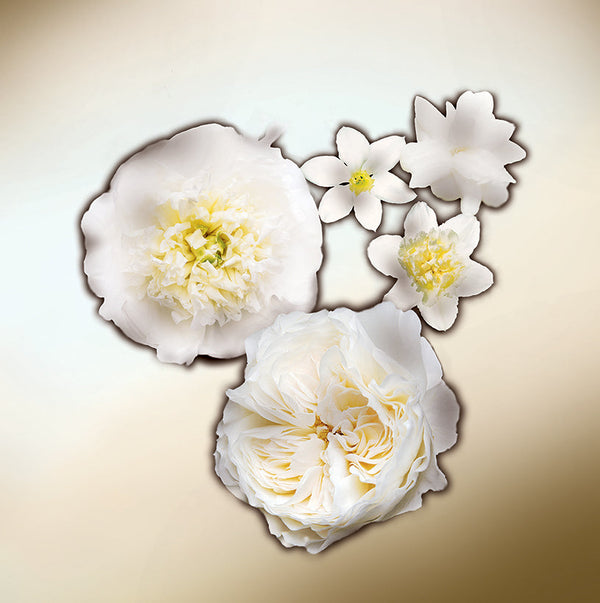 Keiko Mecheri Fragrances WHITE PETALS