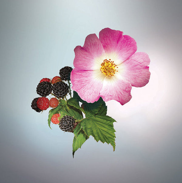 Keiko Mecheri Fragrances WILD BERRIES