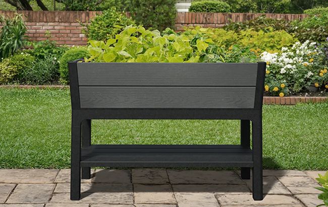 Keter Darwin 29 Gallon Elevated Garden Bed - Graphite