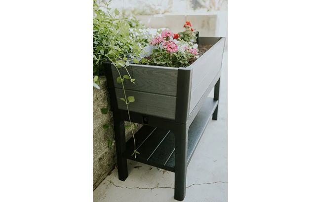 Keter Darwin 29 Gallon Elevated Garden Bed - Graphite