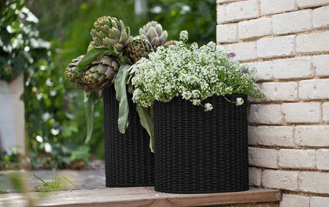 Keter Cylinder Planter Set Of 3 - Black