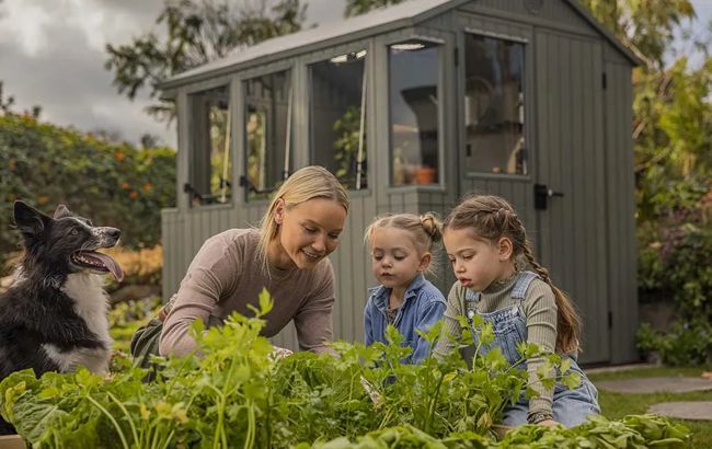 Keter Darwin 6x8 Potting Shed - Green
