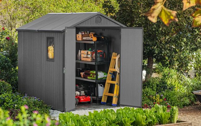 Keter Darwin 6x8 Storage Shed - Graphite
