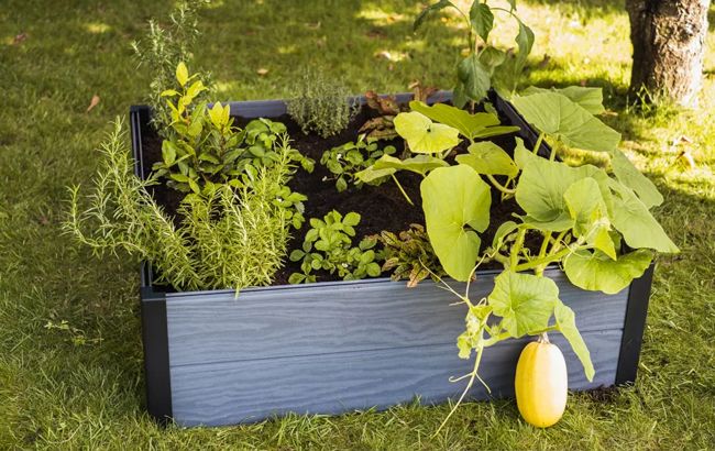 Keter Maple Raised Garden Bed - Graphite