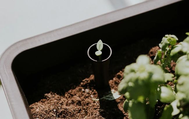 Keter Splendor 31.7 Gallon Elevated Garden Bed - Brown