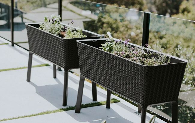 Keter Splendor 31.7 Gallon Elevated Garden Bed - Graphite