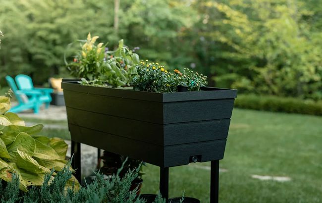 Keter Urban Bloomer 12.7 Gallon Elevated Garden Bed - Graphite