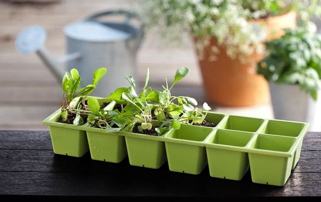 Keter Urban Bloomer 12.7 Gallon Elevated Garden Bed - Graphite