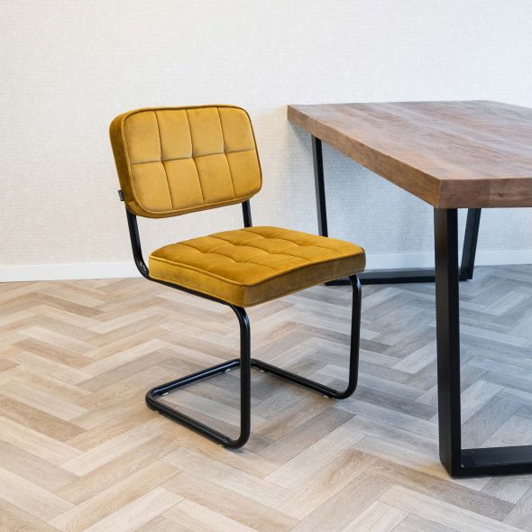 KICK IVY Tubular Frame Chair - Gold