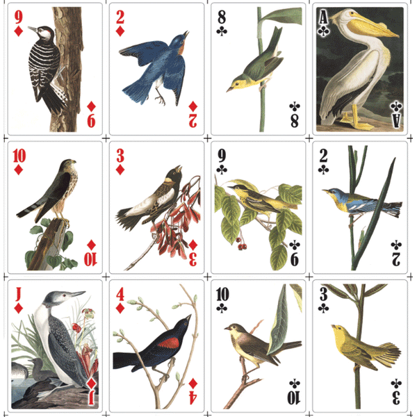 Kikkerland 3-D Bird Playing Cards