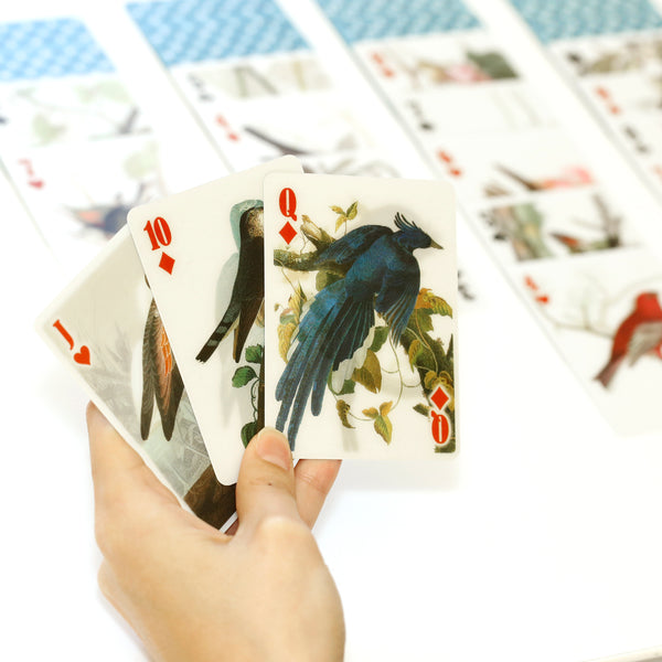 Kikkerland 3-D Bird Playing Cards