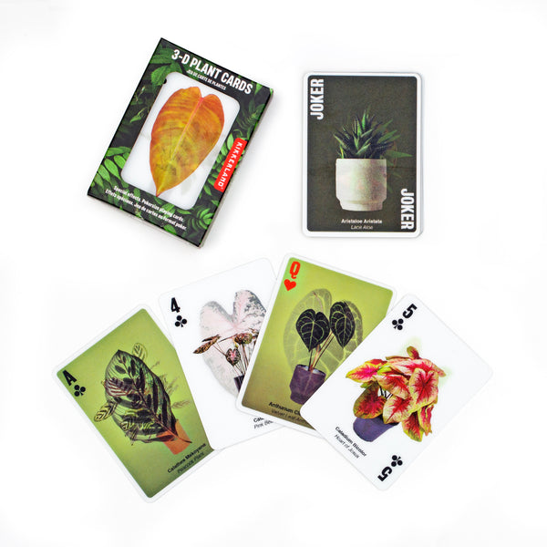 kikkerland 3D Plant Cards