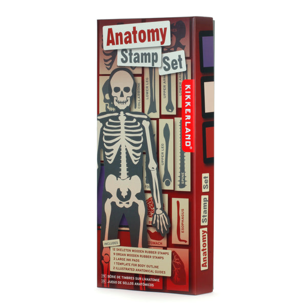 Kikkerland Anatomy Stamp Set