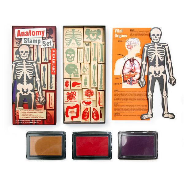 Kikkerland Anatomy Stamp Set