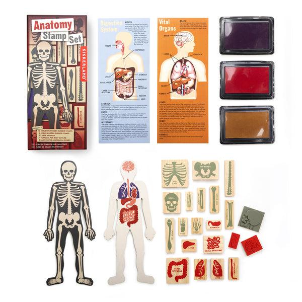 kikkerland Anatomy Stamp Set