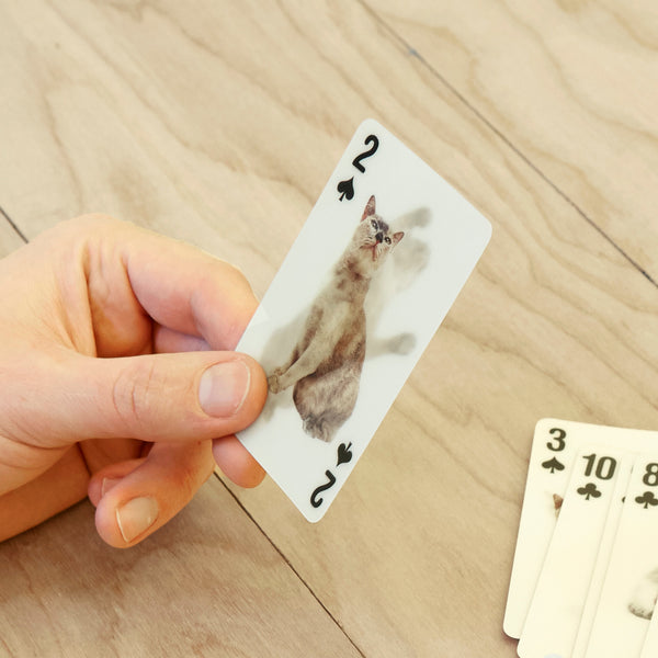 Kikkerland Cat 3D Playing Cards
