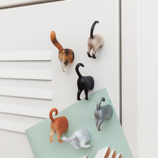 Kikkerland Cat Butt Magnets