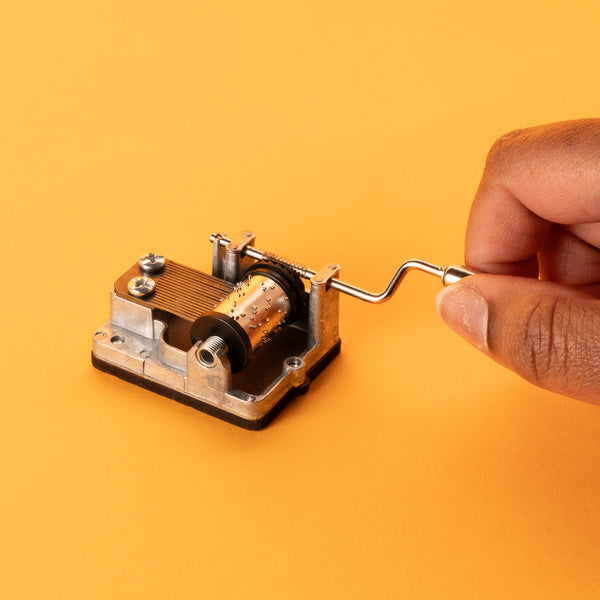 Kikkerland Come Together Music Box