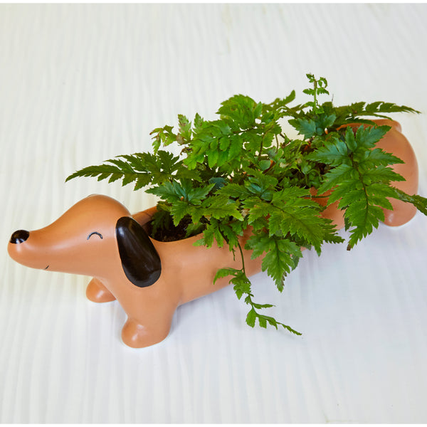 Kikkerland Daisy The Dachshund Planter