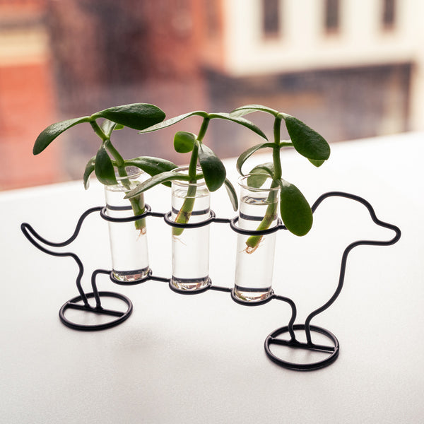 Kikkerland Doggy Triple Tube Vase