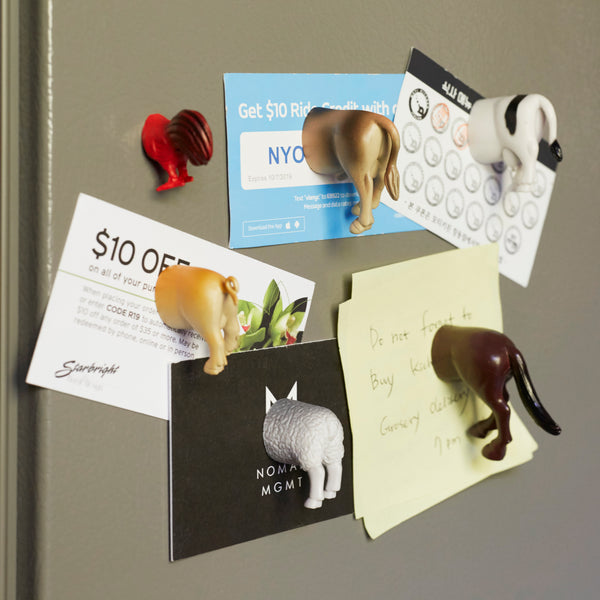 kikkerland Farm Animal Butt Magnets
