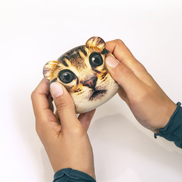 Kikkerland Feline Fine Stress Ball