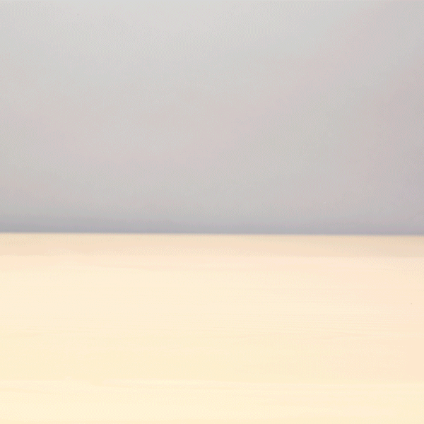 Kikkerland Fetch Bottle Opener