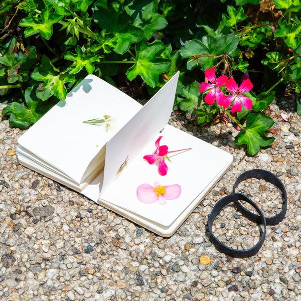 Kikkerland Field Flower Press