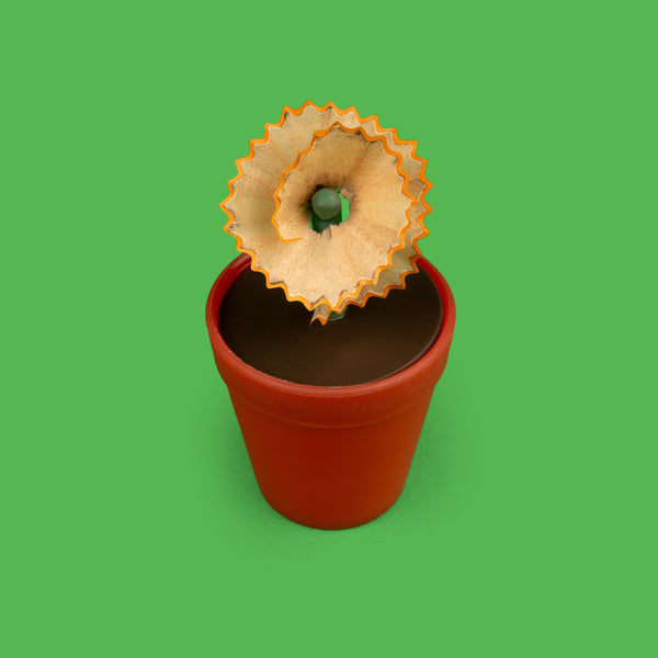 Kikkerland Flower Pot Pencil Sharpener