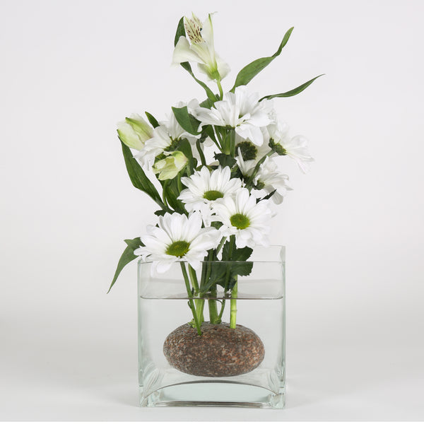 Kikkerland Frog Stone