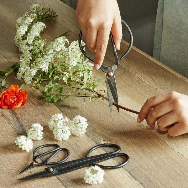 Kikkerland Garden Shears Set