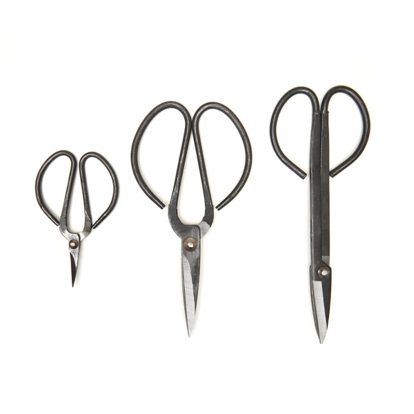 Kikkerland Garden Shears Set