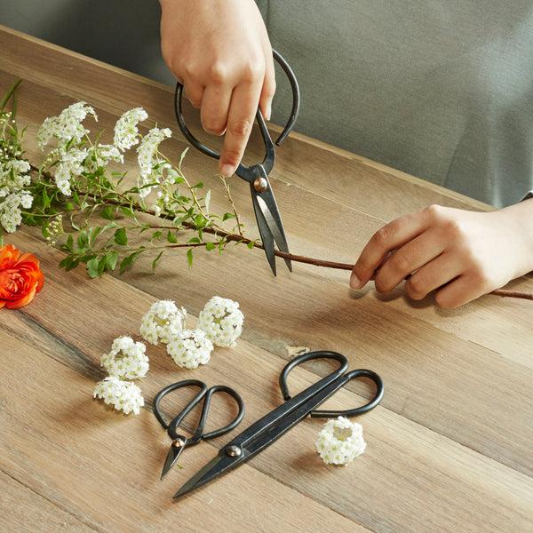kikkerland Garden Shears Set
